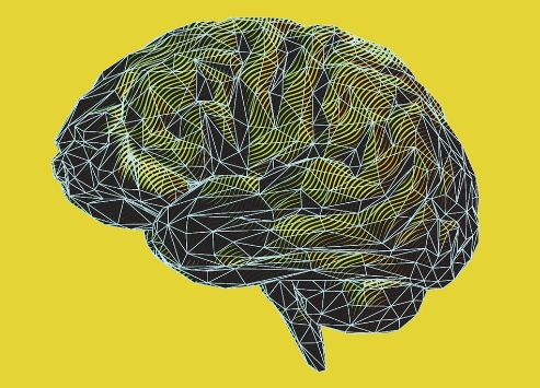 An illustration of the human brain with colorful geometric overlay set on a yellow background.